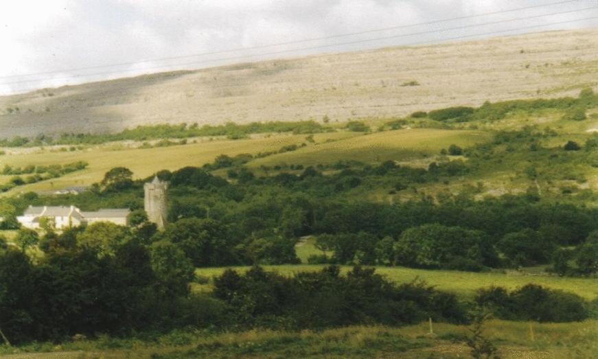 Burren View B&B バリーボーン エクステリア 写真